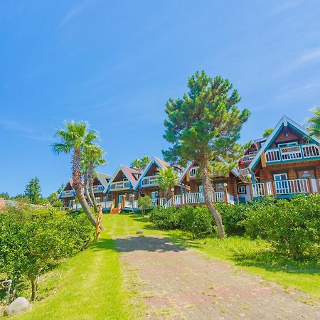 중문통나무 펜션&리조트 서귀포 외부 사진